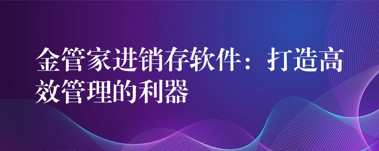金管家进销存软件：打造高效管理的利器