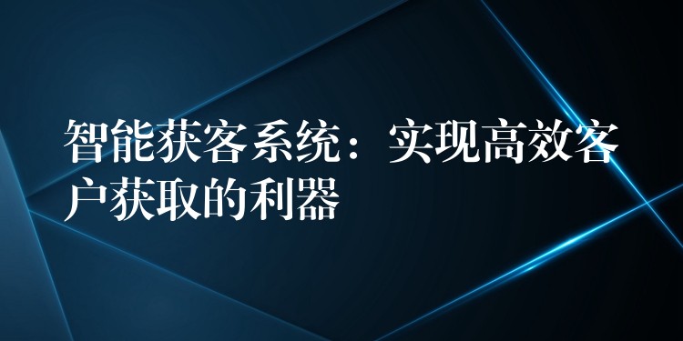 智能获客系统：实现高效客户获取的利器
