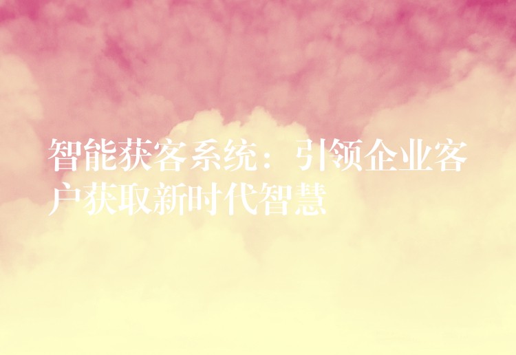 智能获客系统：引领企业客户获取新时代智慧