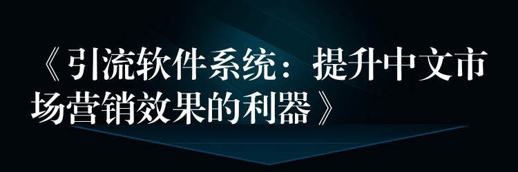 《引流软件系统：提升中文市场营销效果的利器》