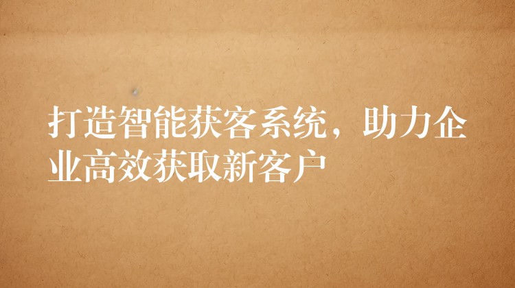 打造智能获客系统，助力企业高效获取新客户