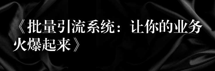 《批量引流系统：让你的业务火爆起来》