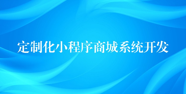 定制化小程序商城系统开发