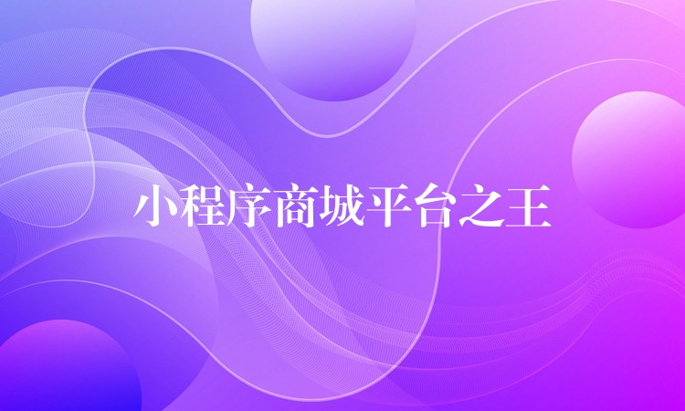 小程序商城平台之王