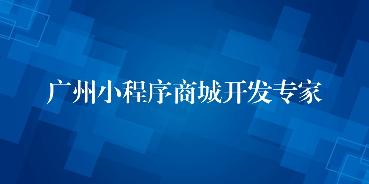 广州小程序商城开发专家