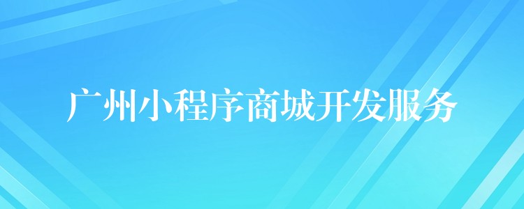 广州小程序商城开发服务