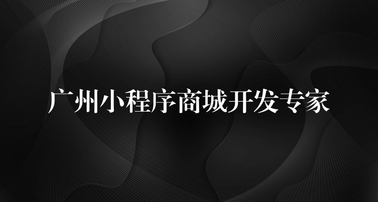 广州小程序商城开发专家