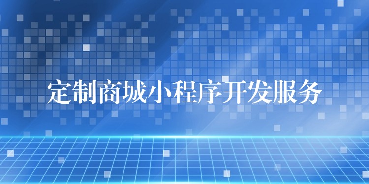 定制商城小程序开发服务