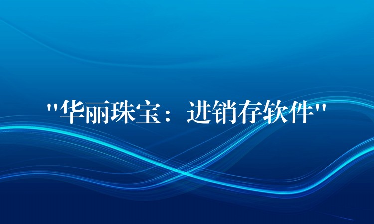 “华丽珠宝：进销存软件”