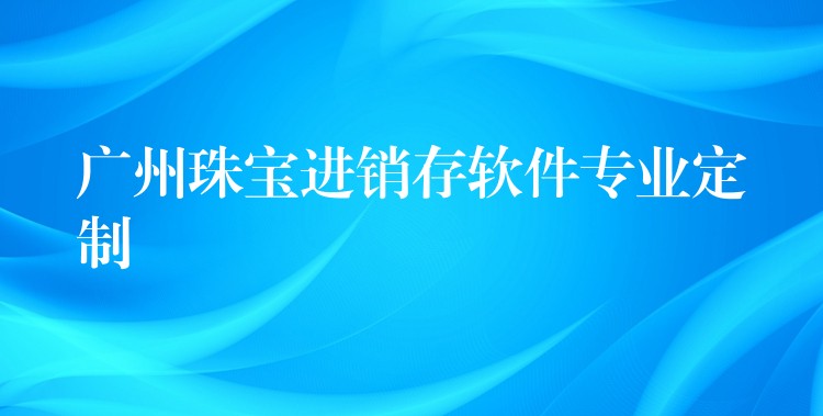 广州珠宝进销存软件专业定制