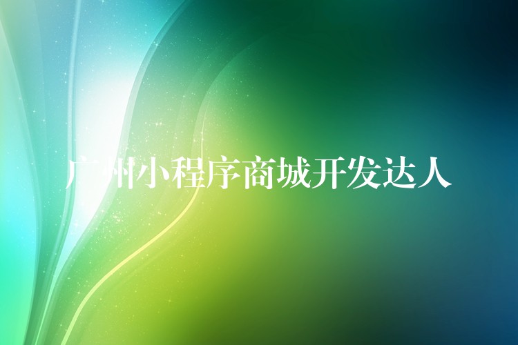 广州小程序商城开发达人
