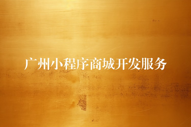 广州小程序商城开发服务