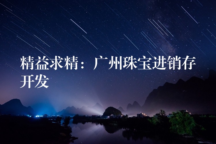 精益求精：广州珠宝进销存开发