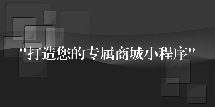 “打造您的专属商城小程序”