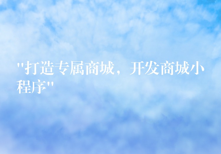 “打造专属商城，开发商城小程序”