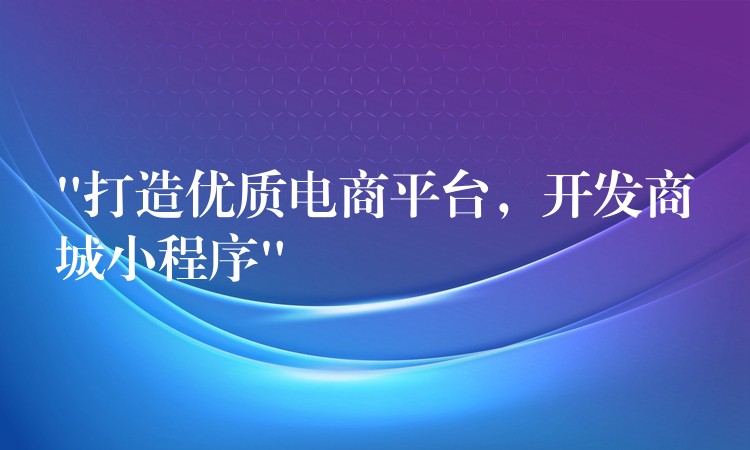 “打造优质电商平台，开发商城小程序”