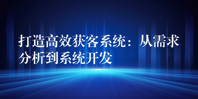 打造高效获客系统：从需求分析到系统开发