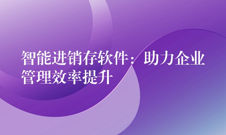 智能进销存软件：助力企业管理效率提升