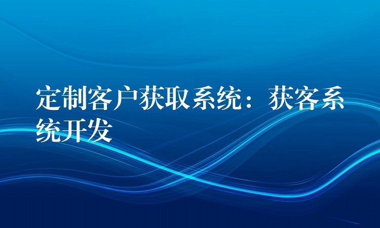 定制客户获取系统：获客系统开发