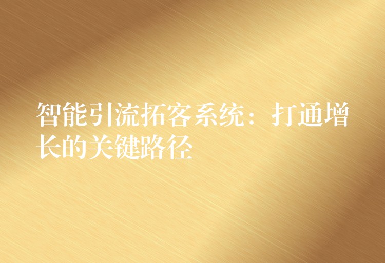 智能引流拓客系统：打通增长的关键路径