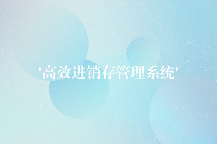 ‘高效进销存管理系统’