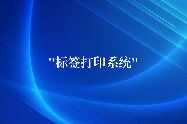 “标签打印系统”