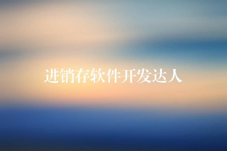 进销存软件开发达人