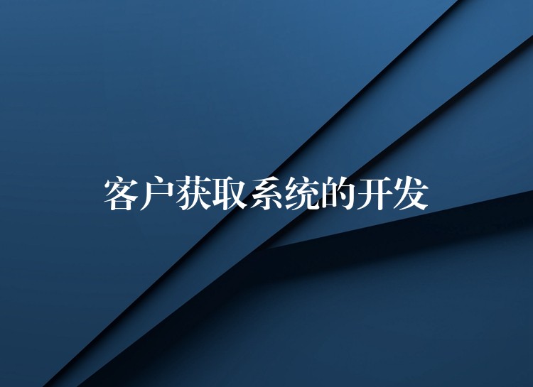 客户获取系统的开发