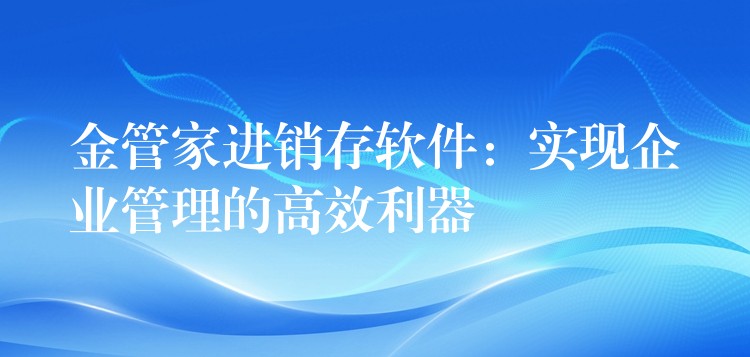 金管家进销存软件：实现企业管理的高效利器