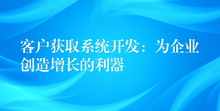 客户获取系统开发：为企业创造增长的利器