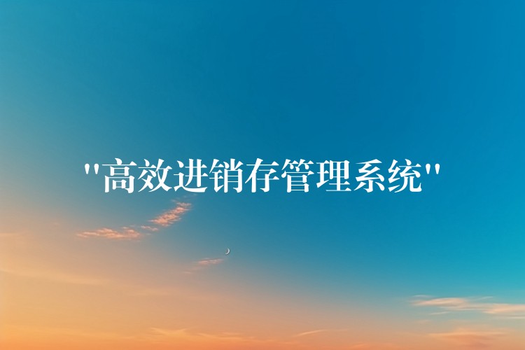 “高效进销存管理系统”
