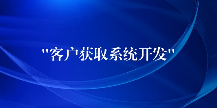 “客户获取系统开发”