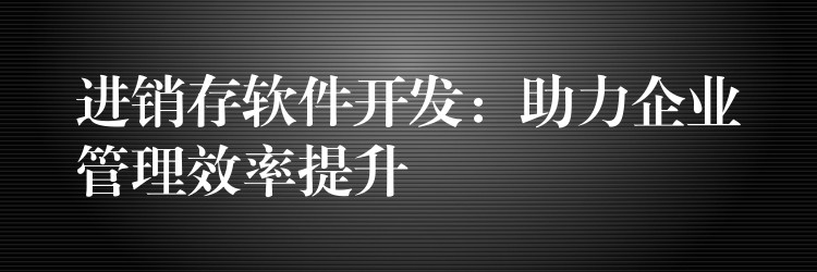 进销存软件开发：助力企业管理效率提升