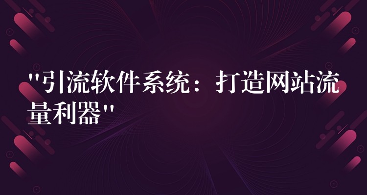 “引流软件系统：打造网站流量利器”