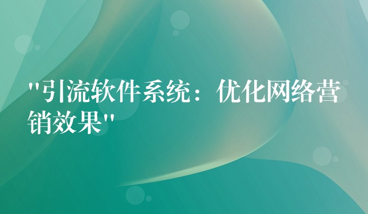 “引流软件系统：优化网络营销效果”