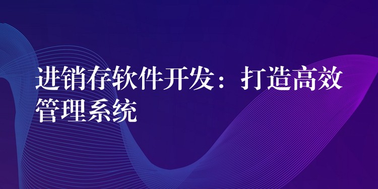 进销存软件开发：打造高效管理系统