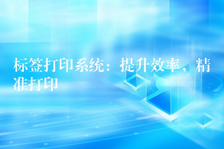 标签打印系统：提升效率，精准打印