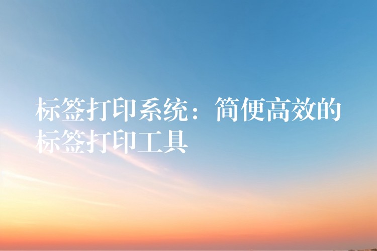 标签打印系统：简便高效的标签打印工具