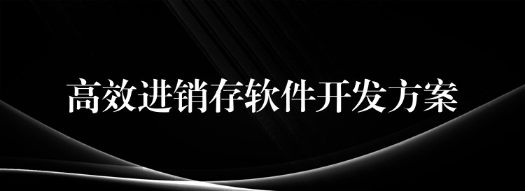 高效进销存软件开发方案