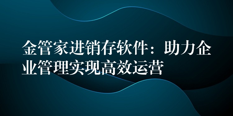 金管家进销存软件：助力企业管理实现高效运营