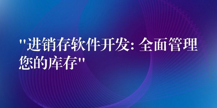 “进销存软件开发: 全面管理您的库存”