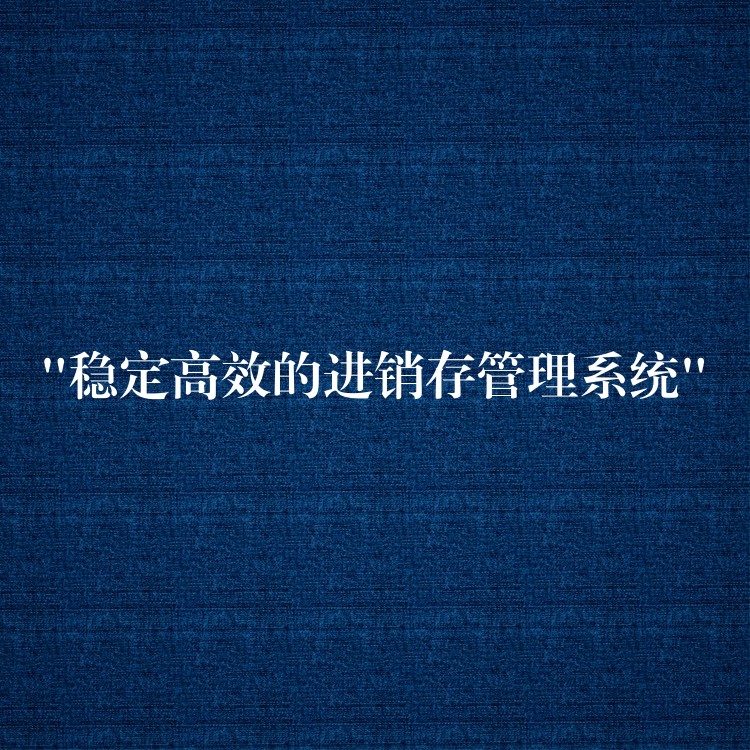 “稳定高效的进销存管理系统”
