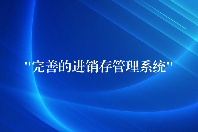 “完善的进销存管理系统”