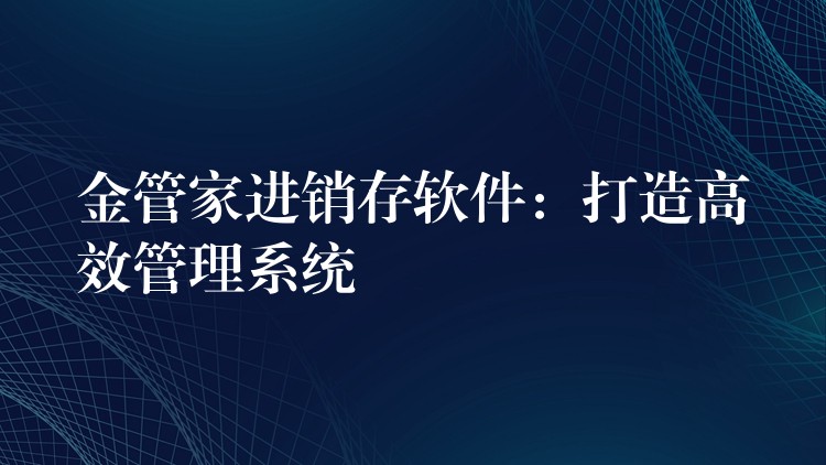 金管家进销存软件：打造高效管理系统