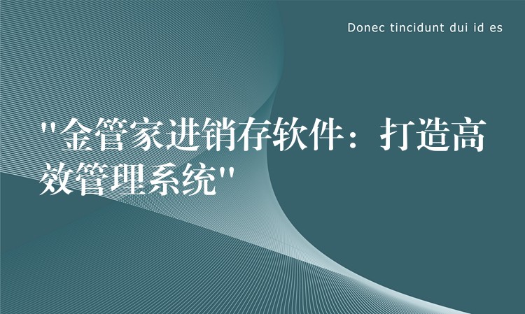“金管家进销存软件：打造高效管理系统”